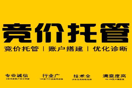 电子商务平台SEM托管的优化技巧